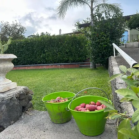 Casa Ulivo *